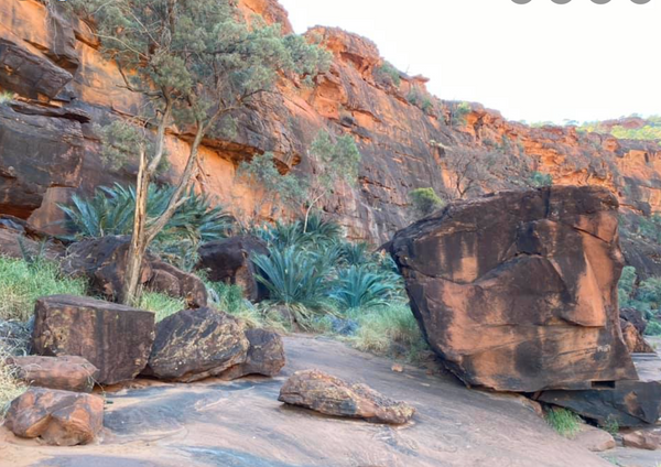 Day 32 Hum of the Earth Crackle of the Sky Tour Finke River