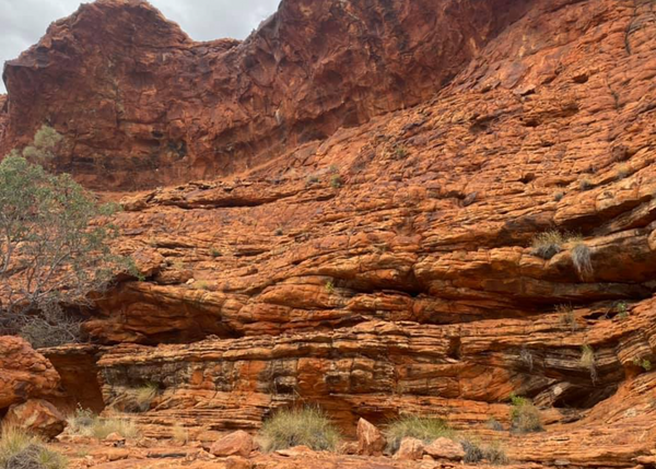 Day 34 Hum of the Earth Crackle of the Sky Tour Kings Canyon 